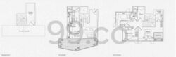 D' Chateau @ Shelford (D11), Apartment #491759881
